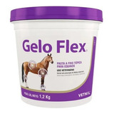 Gelo Flex 1 2kg Pasta A Frio Tópica Equinos Cavalos Vetnil