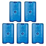 Gelotech - 5 Travessas De Gelo Artificial Reutilizável De 400ml Azul- 5 Bandejas De Gelo Incluídas