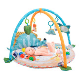 Ginásio Infantil Bebê Atividades Educativo Colorido Bee Toys