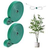 Gjinxi Laços De Plantas De Jardim Fita Ajustável Para Plantas Laços De Plantas Verdes Cinta De Jardinagem Para Um Crescimento Eficaz De Nylon Para Flores Tomate Videiras árvores Suporte De