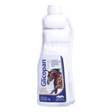 Glicopan Energy 1 Litro Suplemento Aminoácido Para Cavalos
