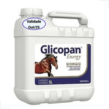 Glicopan Energy 5 Litros Suplemento Aminoácido Para Cavalos