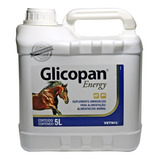 Glicopan Energy 5l Suplemento Vitamínico Vetnil