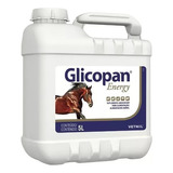 Glicopan Energy Galão 5 Litros Suplemento
