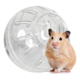 Hamster