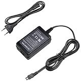 Glorich Adaptador De Alimentação CA De Substituição AC-L200 Para Substituir AC-L200- L200C- L25- L25A- L25B- L25C Para Sony Handycam DCR-DVD105 DVD305 HC20 HC40 SR45 SR100 SX85 DSC-HX100V FDR-AXV 100 HD R-CX150 CX580V CX900 HC5 PJ760V SR12 XR260V DEV-5 E Mais