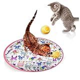 GNAIJEZZ Bola De Brinquedo Para Gatos Power Ball 2 0 Com Rolagem Rápida Na Bolsa Brinquedos Recarregáveis De Caça Para Gatos Em Ambientes Internos C