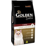 Golden Gatos Adultos Castrados Carne 3