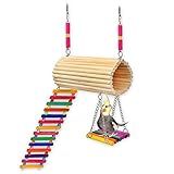Golden Pets Brinquedo Playground Twister Hamster Calopsita Periquito