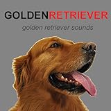 Golden Retriever Dog Sounds