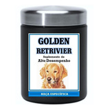 Golden Retrivier Dog Suplementos