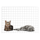 Grade Para Cachorro Gato Tela De Proteção Para Porta 60x80cm