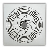 Chakras