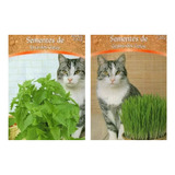Grama Erva De Gato 1000 Sementes De Cada Frete Gratis Top