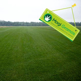 Grama Esmeralda 1200 M2 P 12 Vezes S juros