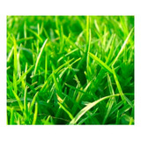 200g