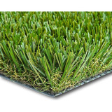 Grass