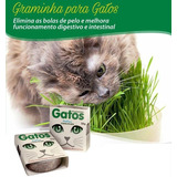 Graminha Para Gatos Digestive Grass 100