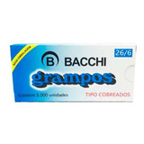 Bacchi