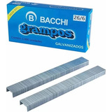 Bacchi