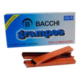 Bacchi