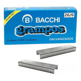 Bacchi