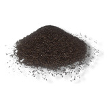 Kg