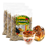 Granola Artesanal Gran Pic 3 Pct De 1 Kg