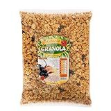 Granola Gran Pic 1kg Tradicional