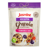 Granola Jasmine Organico Especial Cranberries E