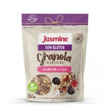 Granola Sem Glúten Cranberries E Açaí