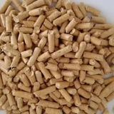 Absorção