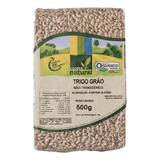 grão de trigo-grao de trigo Trigo Em Graos Organico Coopernatural 500g