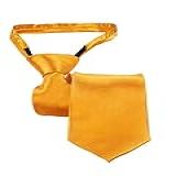 Gravata Slim Fit Com Zíper E Nó Pronto Adulto Amarelo 