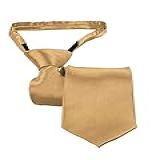 Gravata Slim Fit Com Zíper E Nó Pronto Adulto Dourado 