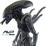 Grid Alien Vs Predador Neca Avp