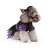 GRIRIW Roupa Pet Roupinha Pet Roupa Para Pet Fantasias Para Cachorros Roupa Confortável Para Pet Garota Roupa Para Cachorro Suprimentos Para Animais De Estimação Roupas Mulheres