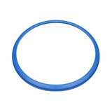 Guarnição anel Porta Autoclave Vitale Plus 12 Lts Azul