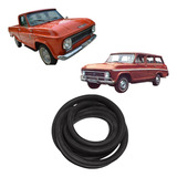 C10