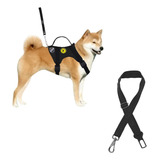 Cães