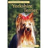 Guia Do Yorkshire Terrier Animais De Estimação