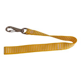 Guia Fita Seda Para Cães Gatos Super Resistente 2 5x40 G7 1