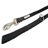 Guia Longa 10 Metros Adestramento Passeio Cães Cachorro