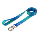 Guia Para Cachorros Basic Pet 2 Metros Lake