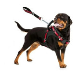 Guia Para Cães Coleira Peitoral Com Alça Reforçado Pit Bull