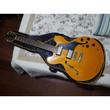Guitarra Samick Semi Acustica Artist Series Edition Trocas