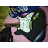 Guitarra Shelter Modelo Fender usado