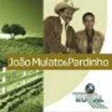 joão mulato e pardinho-joao mulato e pardinho Cd Joao Mulato E Pardinho Globo Rural