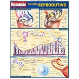 joseph vincent-joseph vincent Resumao Sistema Reprodutivo De Vincent Perez Editora Bfa Em Portugues