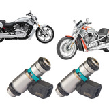 Kit 2 Bico Injetor Harley Davidson Moto Vrsc V-rod Iwp063